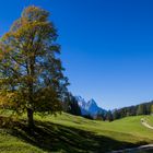 Herbstspaziergang