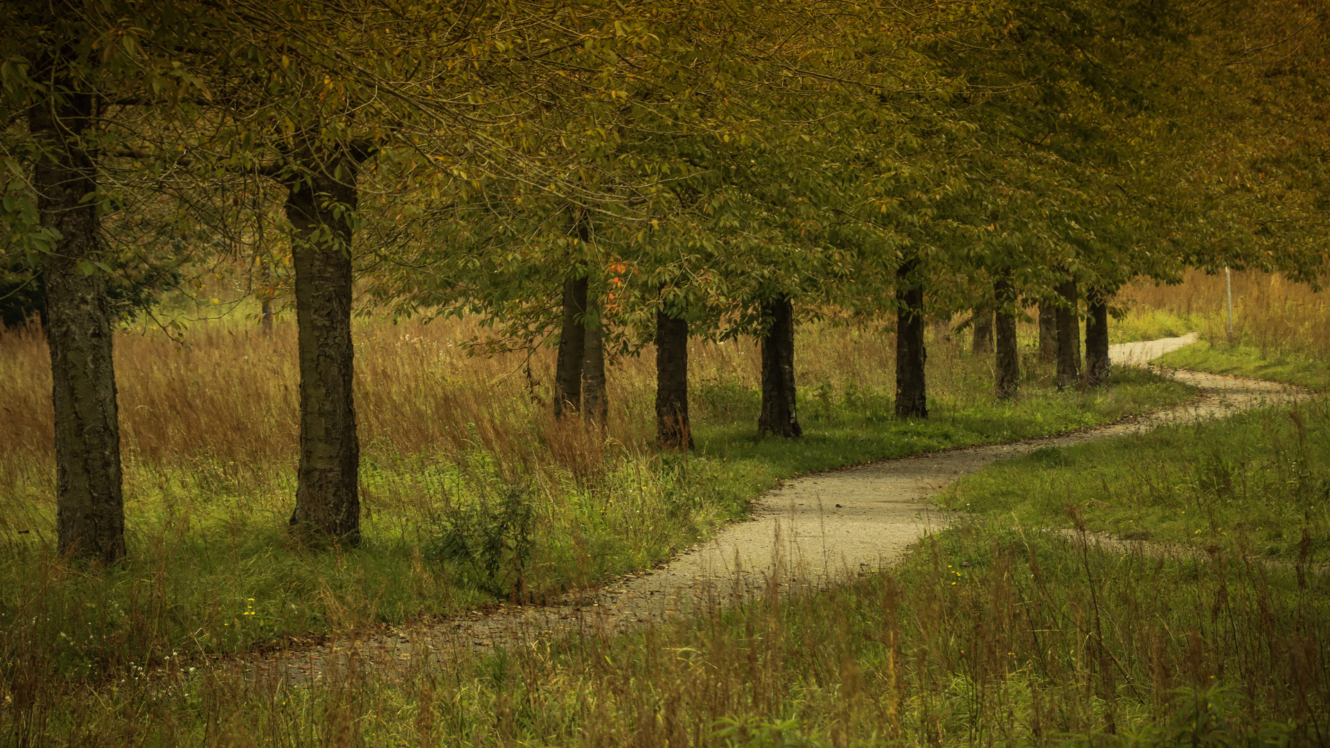 Herbstspaziergang