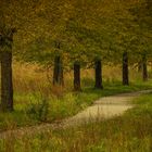 Herbstspaziergang