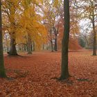 Herbstspaziergang