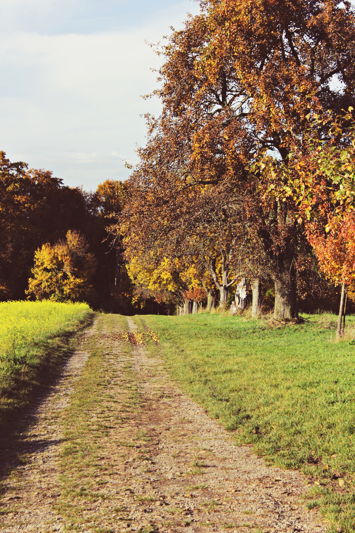 Herbstspaziergang