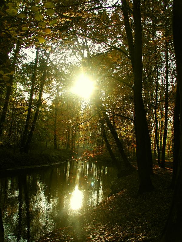 Herbstspaziergang