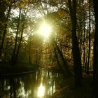 Herbstspaziergang