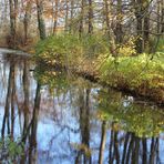 Herbstspaziergang...