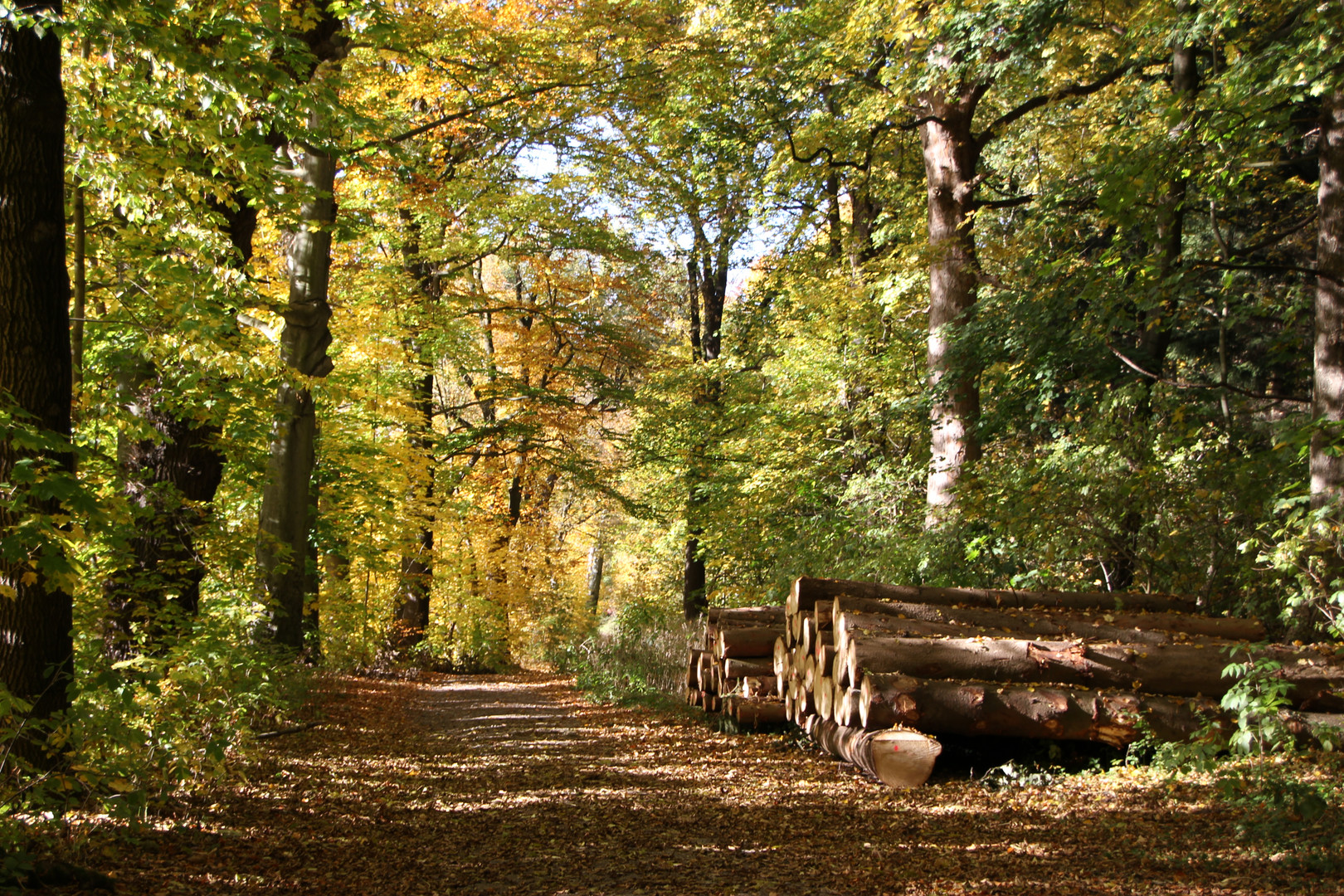 Herbstspaziergang