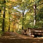 Herbstspaziergang