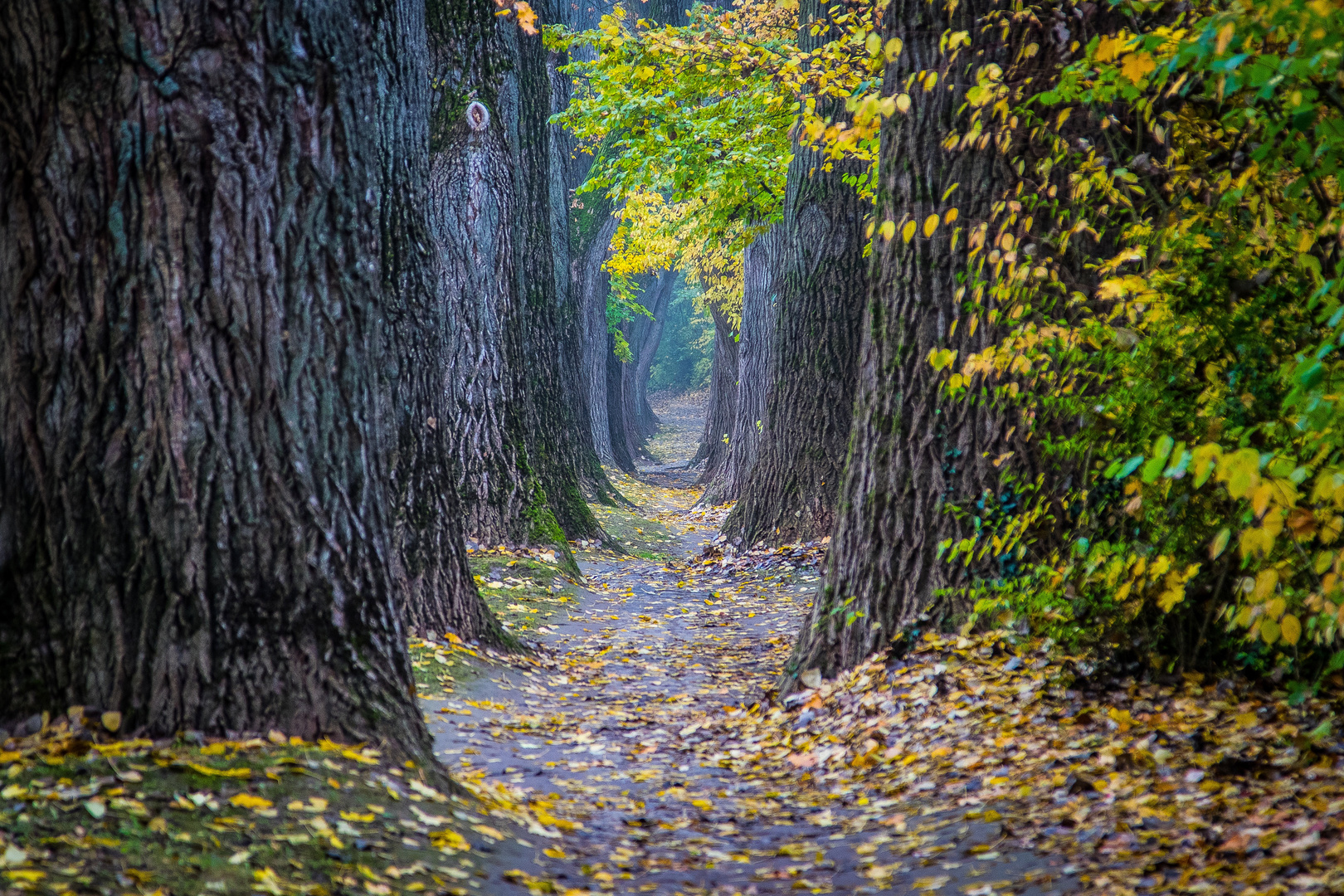 Herbstspaziergang...