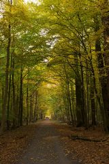 Herbstspaziergang