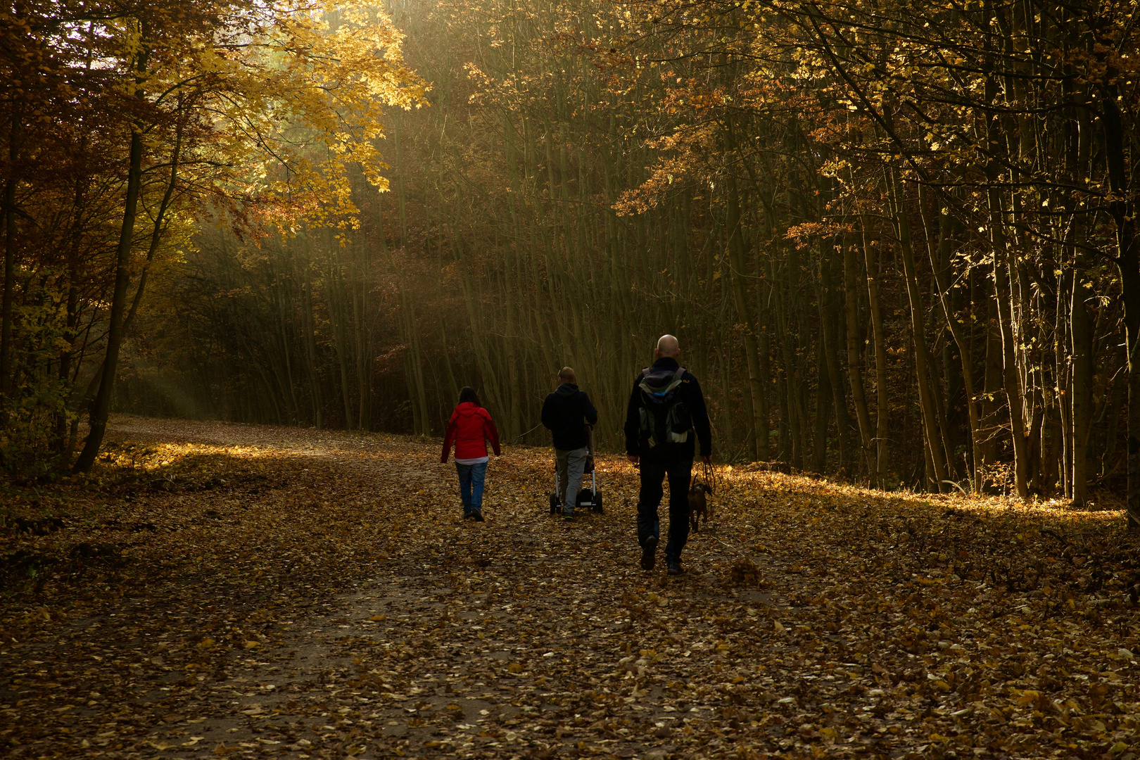 Herbstspaziergang