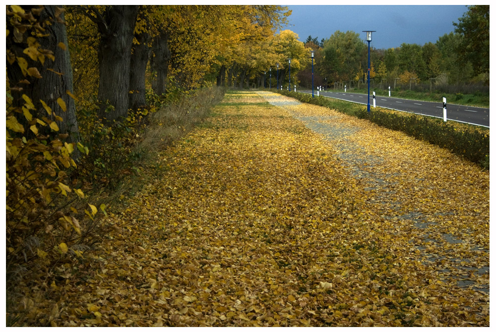 Herbstspaziergang