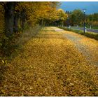 Herbstspaziergang