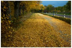 Herbstspaziergang