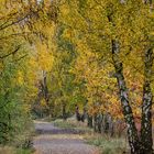 Herbstspaziergang