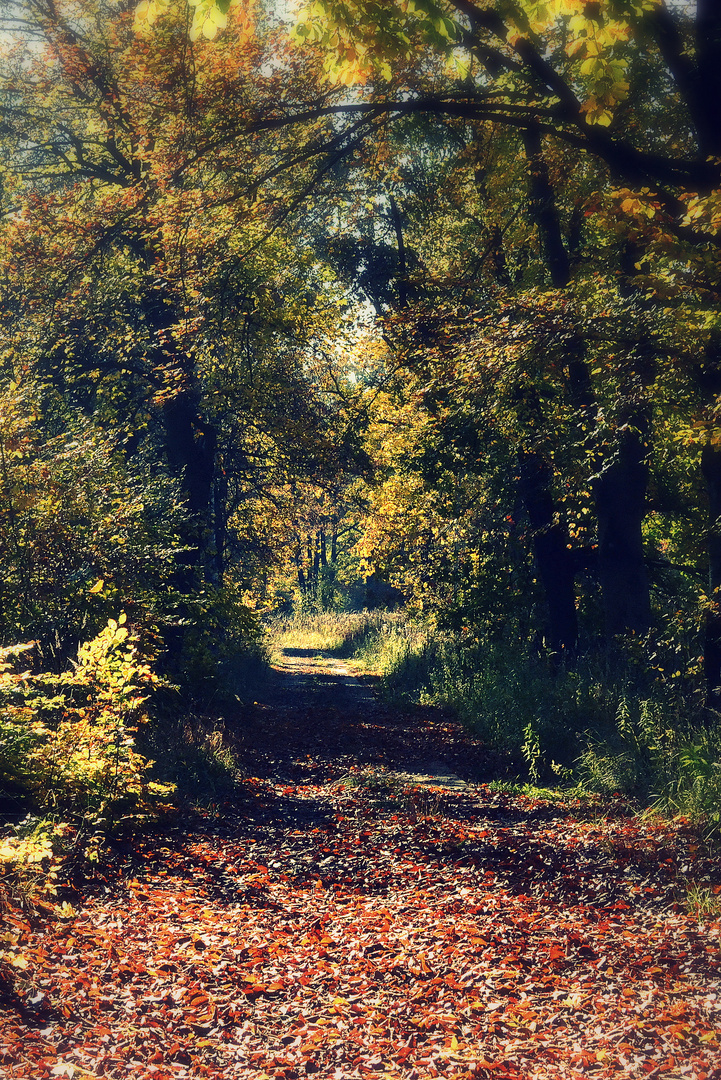 Herbstspaziergang