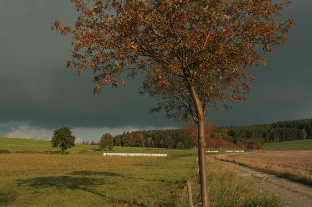 Herbstspaziergang