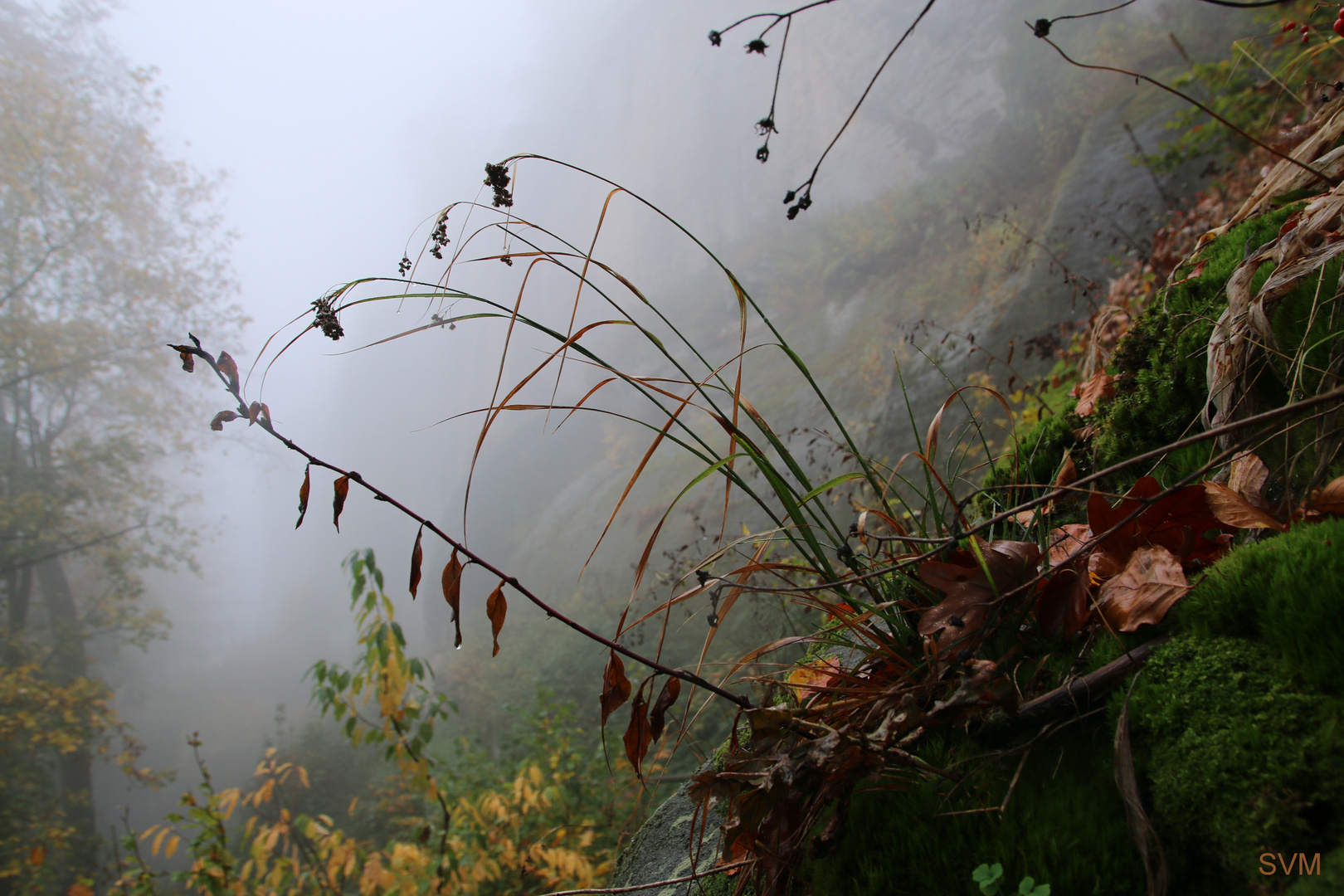 Herbstspaziergang