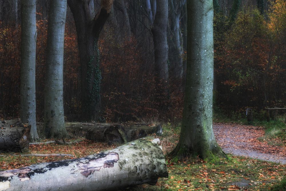 Herbstspaziergang