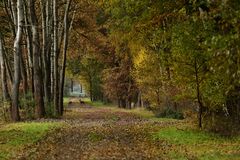 Herbstspaziergang