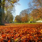 Herbstspaziergang 