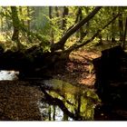 Herbstspaziergang