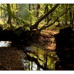 Herbstspaziergang