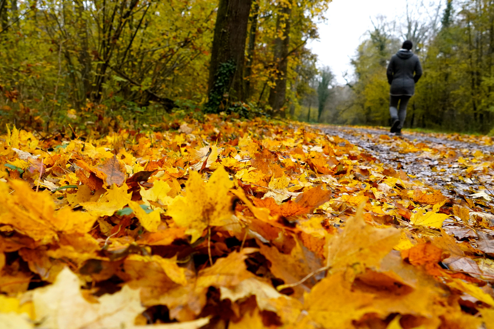 herbstspaziergang