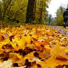 herbstspaziergang