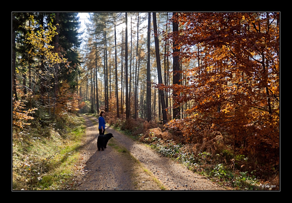 Herbstspaziergang