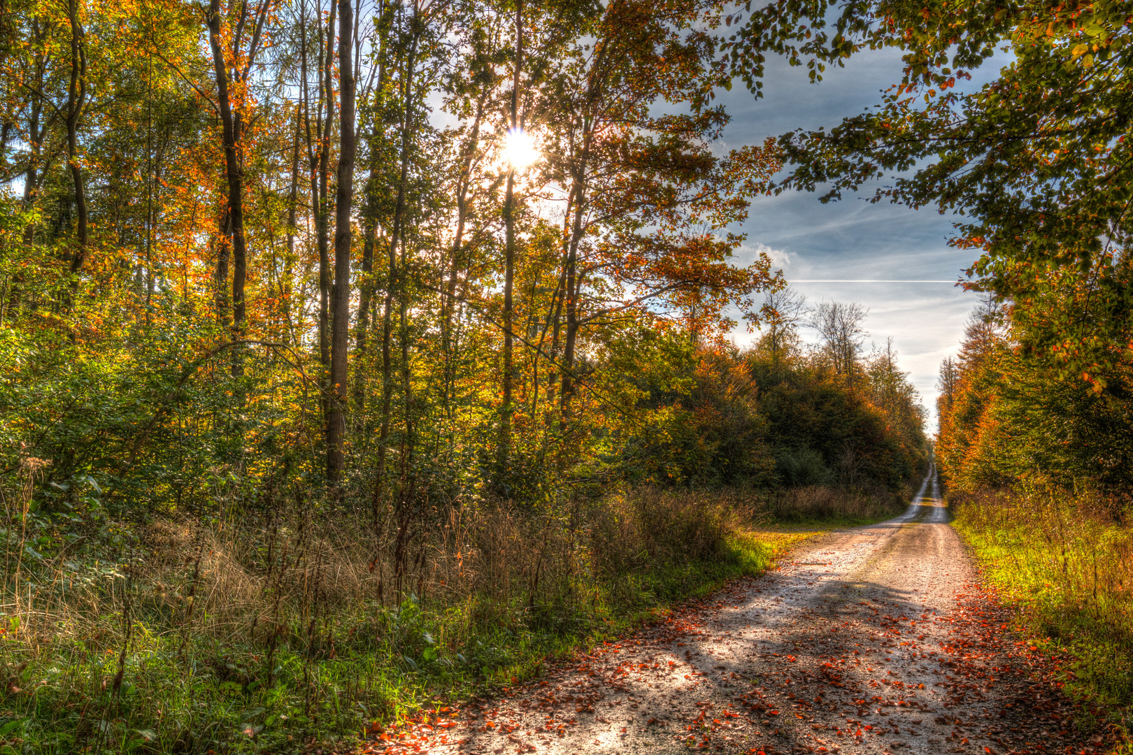 Herbstspaziergang