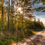 Herbstspaziergang