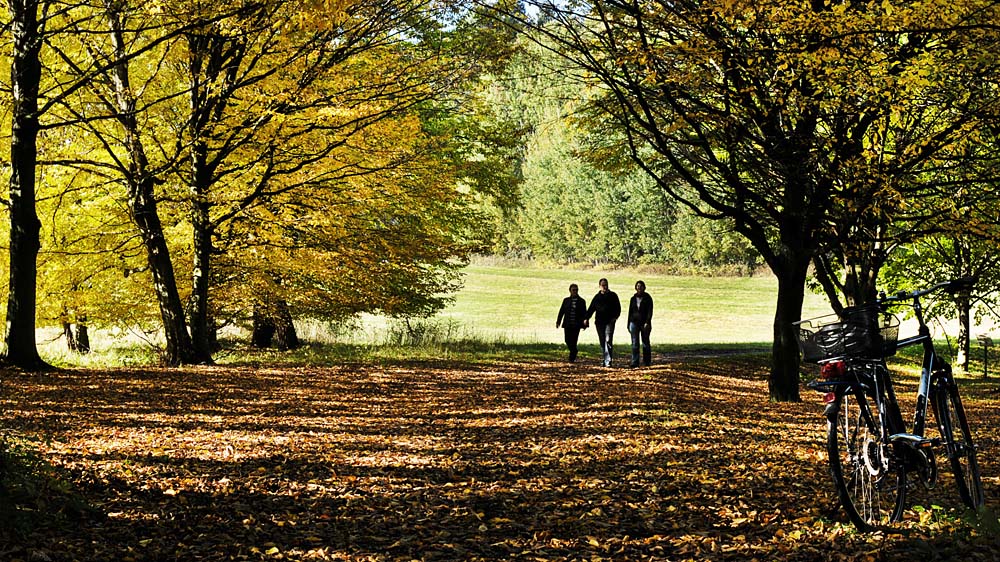 herbstspaziergang