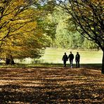 herbstspaziergang