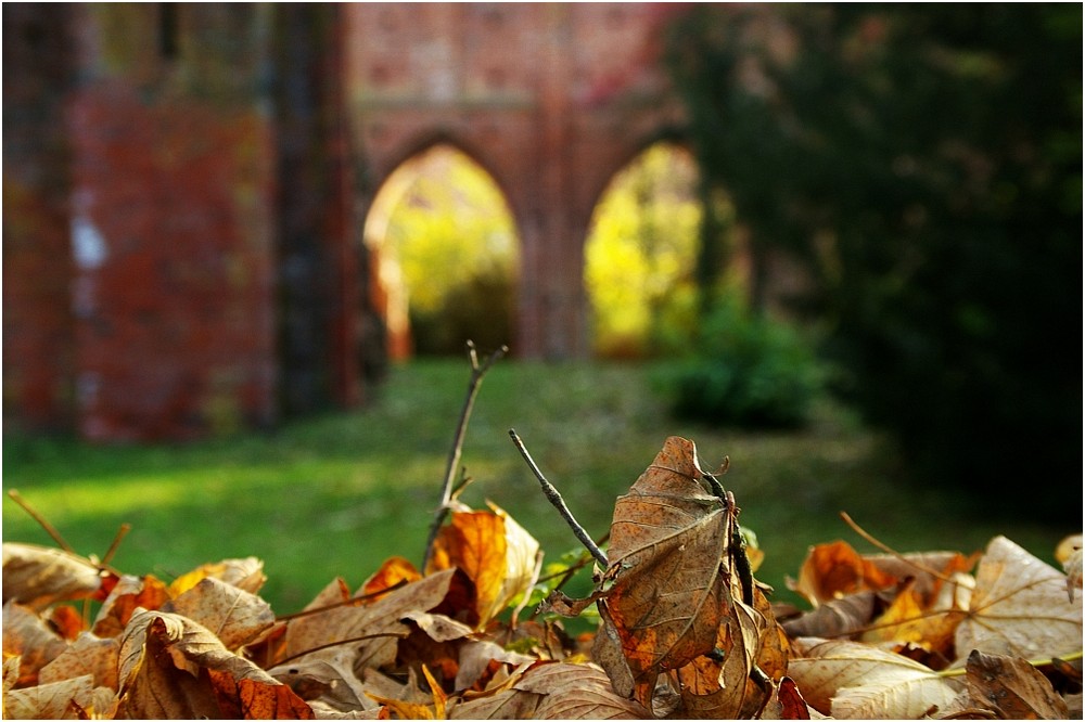 Herbstspaziergang...