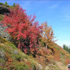 Herbstspaziergang