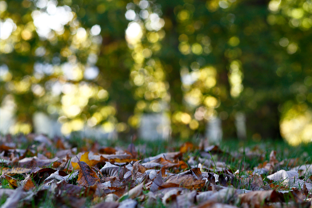 Herbstspaziergang