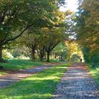 Herbstspaziergang