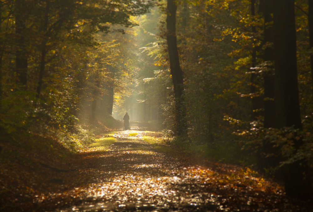 Herbstspaziergang