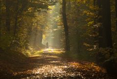 Herbstspaziergang