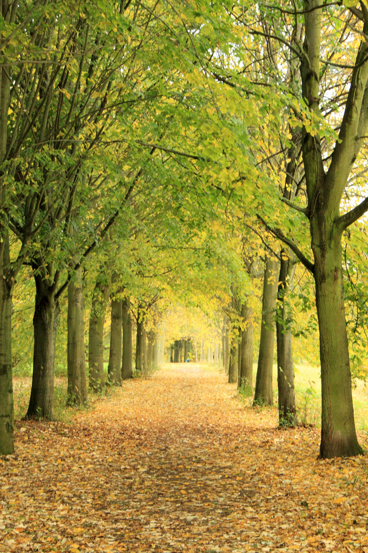 Herbstspaziergang