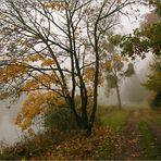 Herbstspaziergang