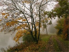 Herbstspaziergang