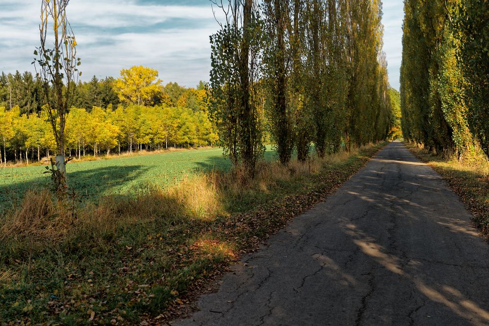 Herbstspaziergang