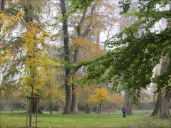 Herbstspaziergang