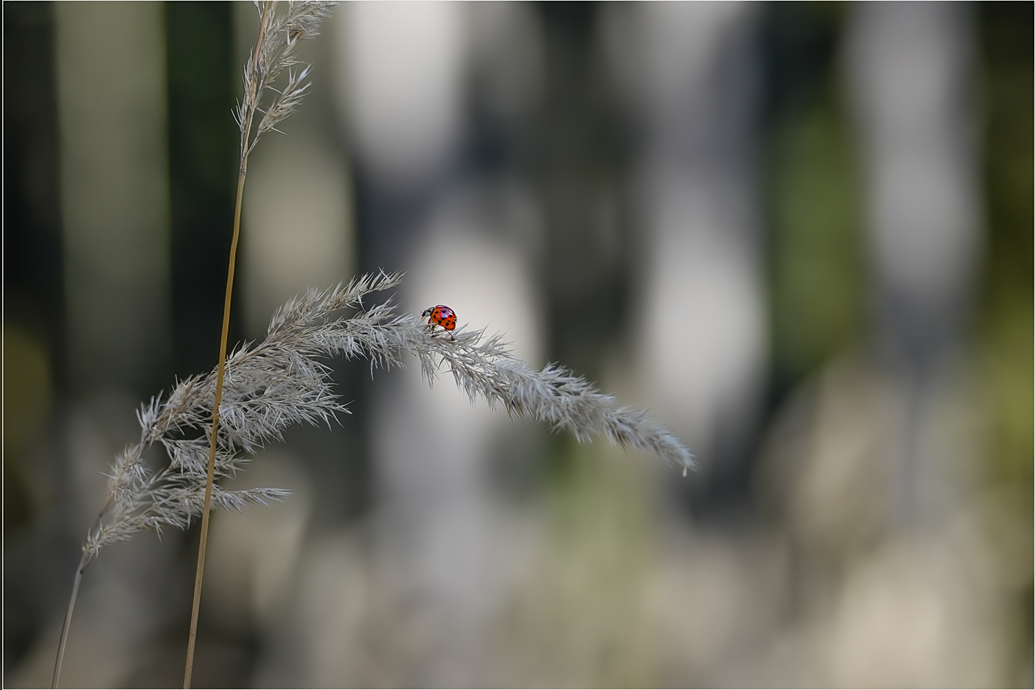 Herbstspaziergang…