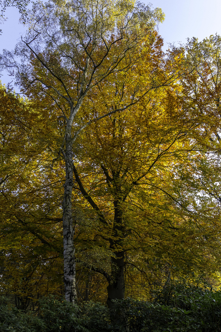 Herbstspaziergang