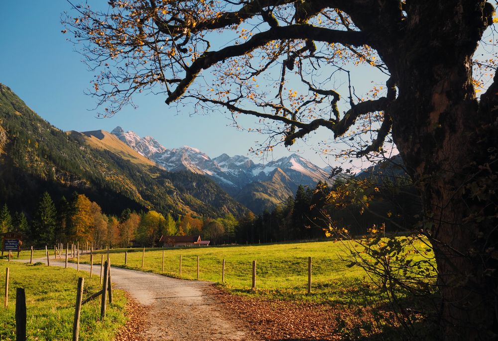 Herbstspaziergang 