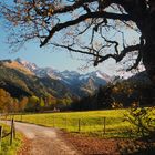 Herbstspaziergang 