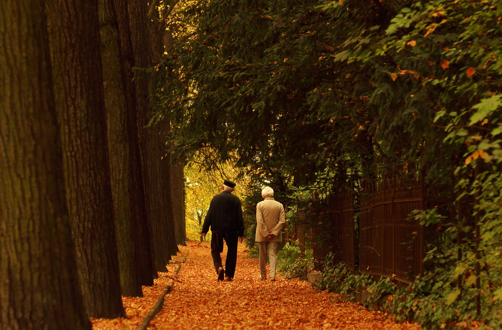 Herbstspaziergang