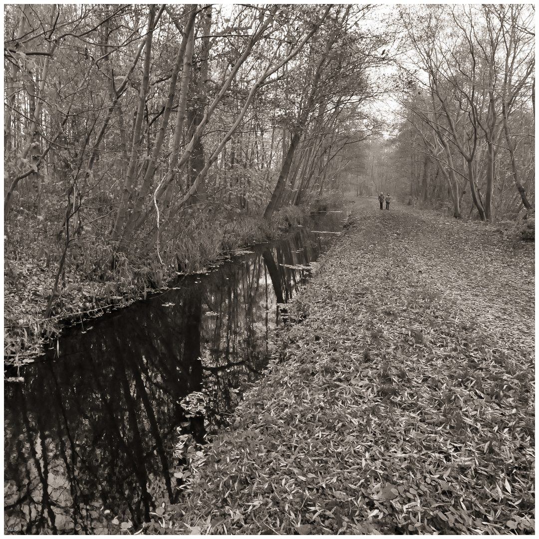 Herbstspaziergang