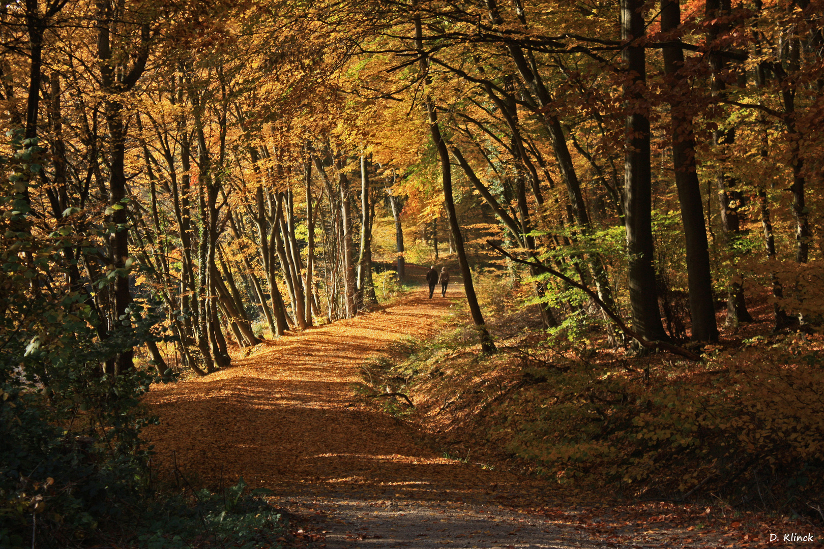 Herbstspaziergang